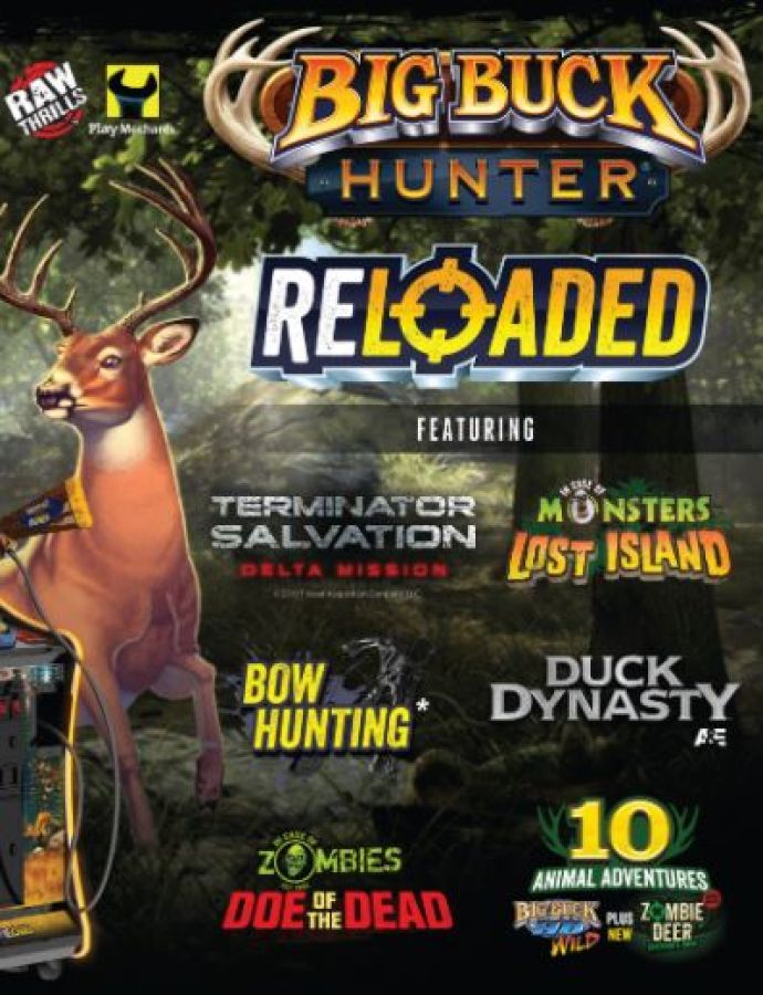  Big Buck Hunter Arcade (Nintendo Switch) : Video Games